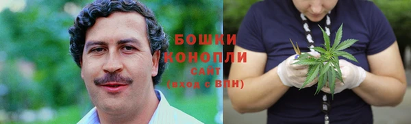 трава Арсеньев