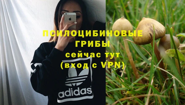 трава Арсеньев