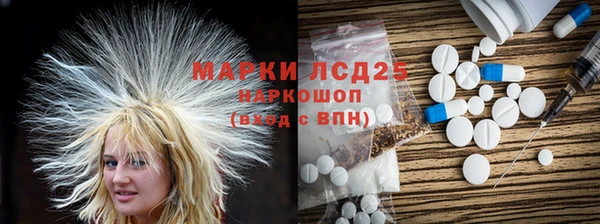 PSILOCYBIN Осташков
