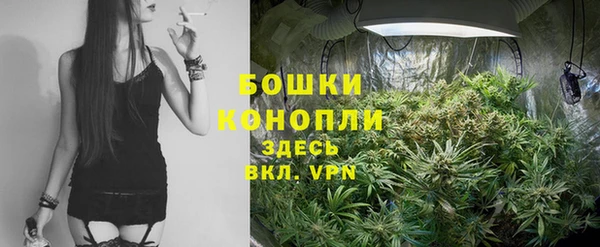 трава Арсеньев